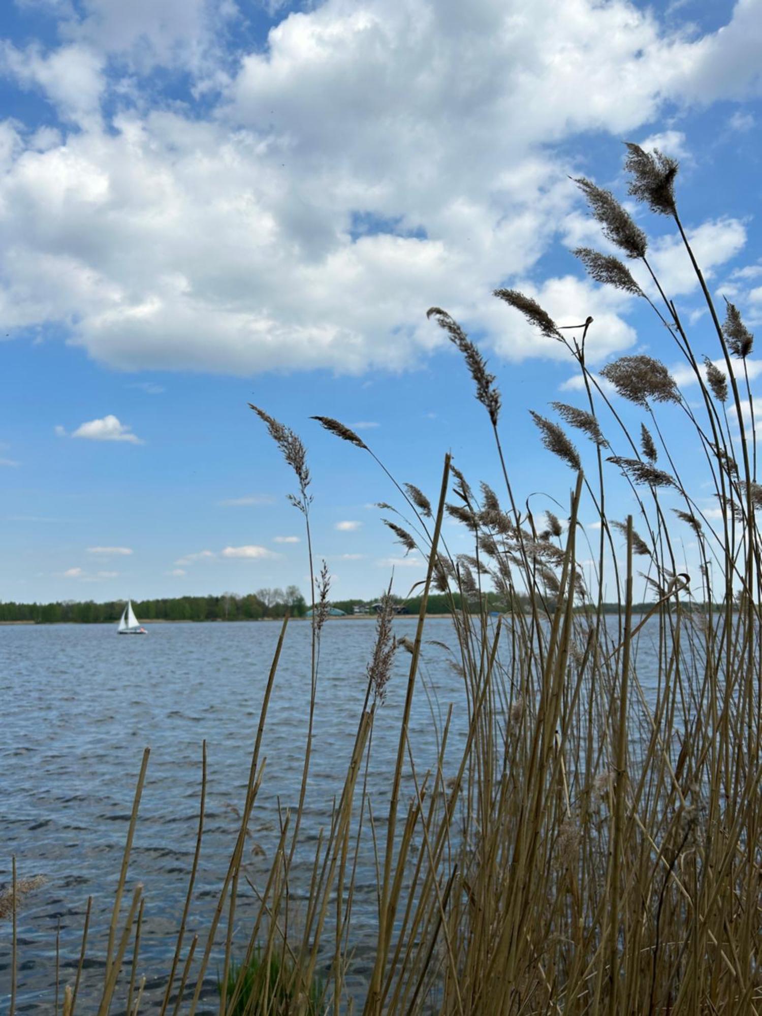 Masuria Warsaw Villa Skrzeszew Dış mekan fotoğraf