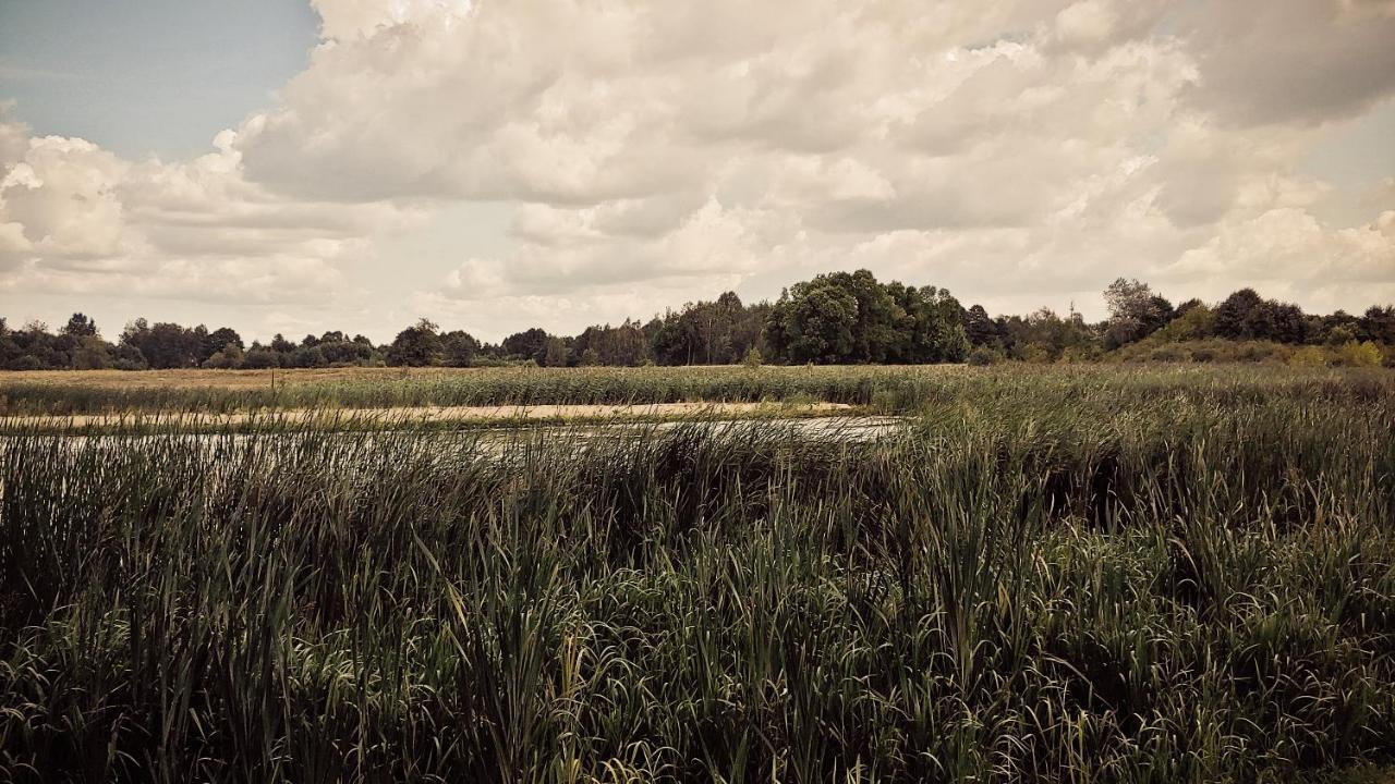 Masuria Warsaw Villa Skrzeszew Dış mekan fotoğraf