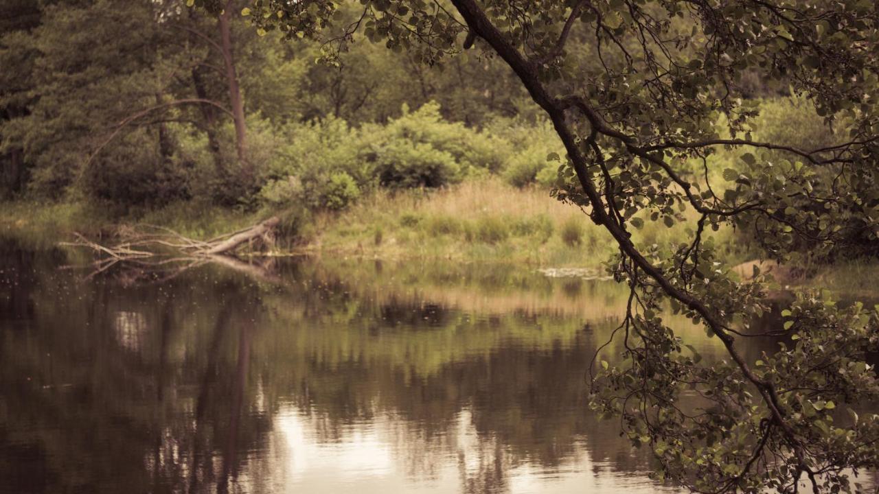 Masuria Warsaw Villa Skrzeszew Dış mekan fotoğraf