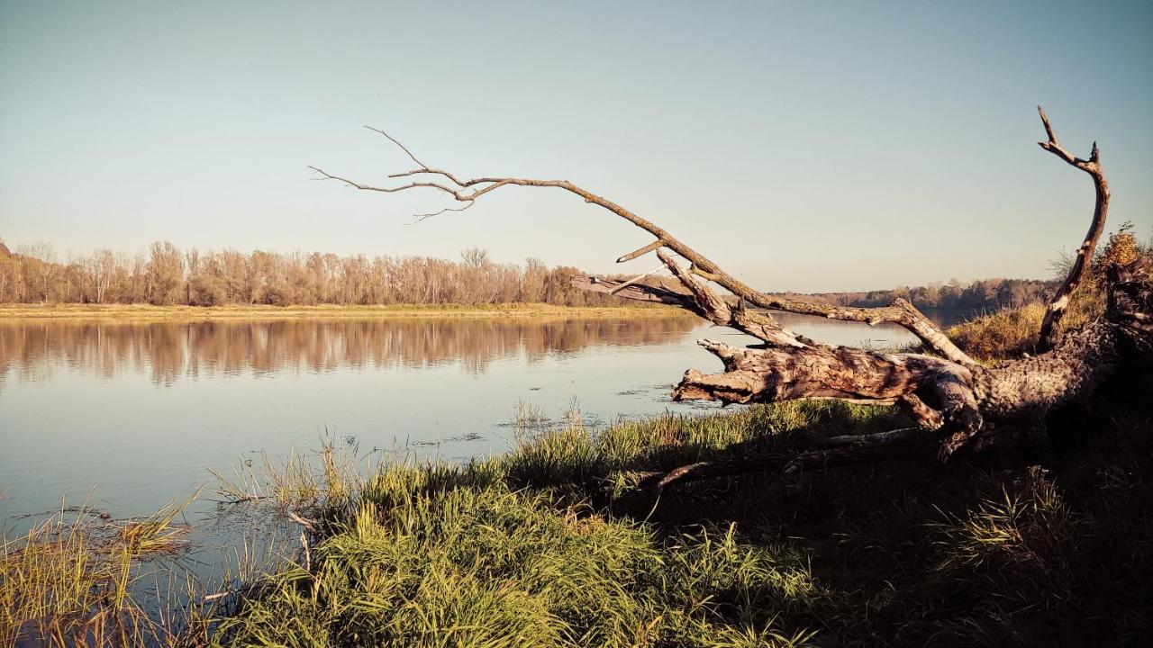 Masuria Warsaw Villa Skrzeszew Dış mekan fotoğraf