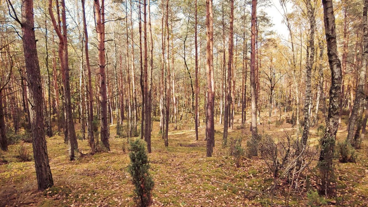 Masuria Warsaw Villa Skrzeszew Dış mekan fotoğraf